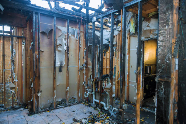 Professional Fire Damage Removal technician working in Lakeside, MT